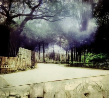 五年制酒店管理与运营，系统化培养与行业融合的实践路径